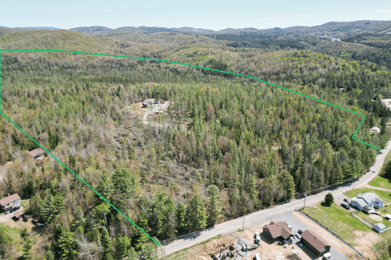 417 Rue du Domaine-Lauzon - Photo principale