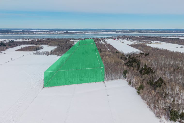 Marie-Victorin - Photo principale