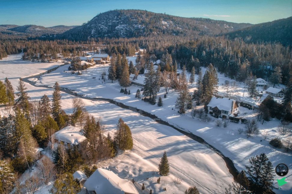 Photo Principal - Sapinière