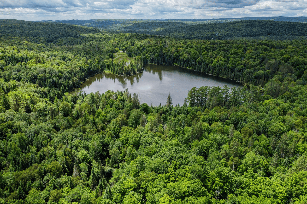 27 Chemin de Shrewsbury - Photo Principale