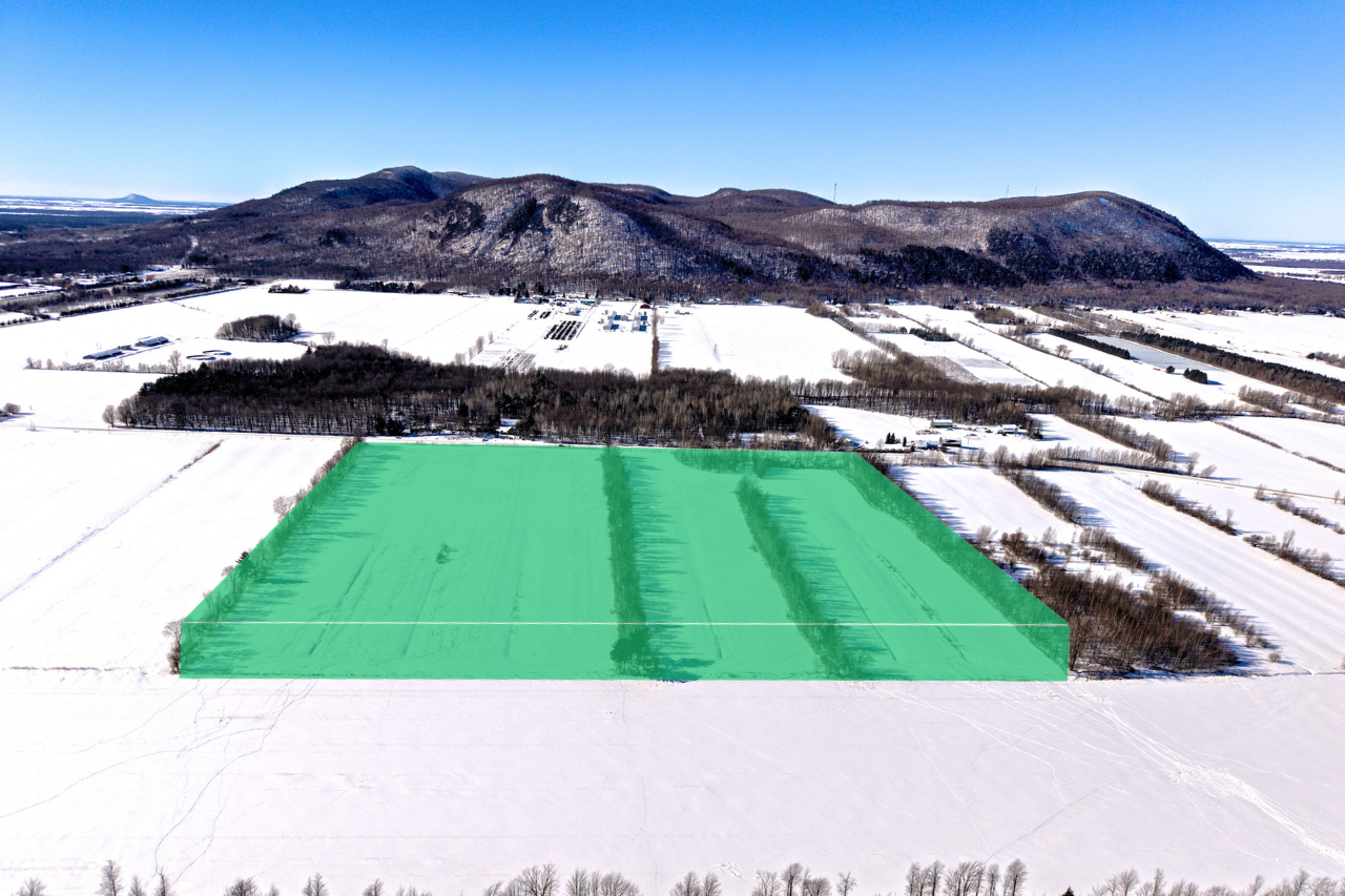 305 rue Narcisse-Morissette - Photo principale-1