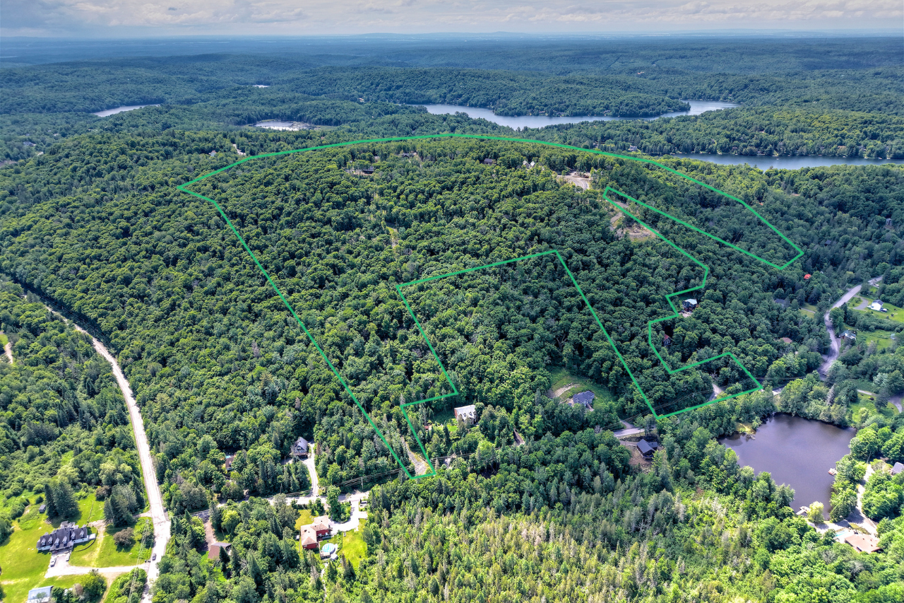 Chemin de la Taïga  - Vue 2